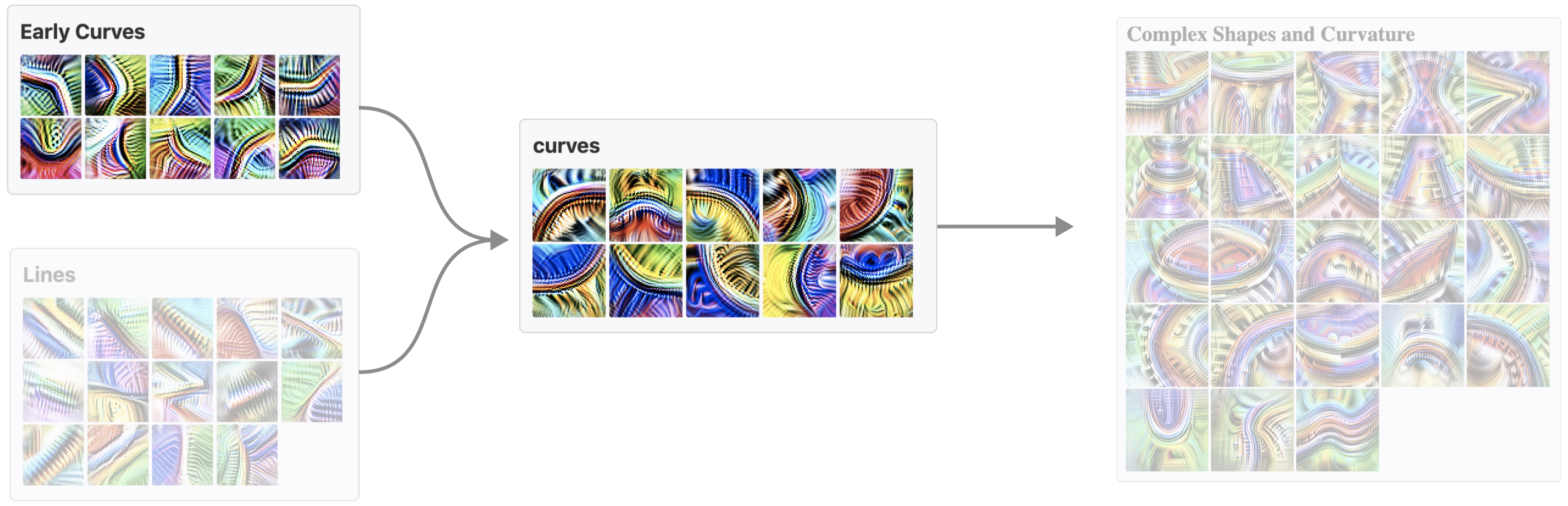 Curve circuit showing composition of learned features in vision models